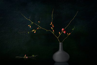 Ramos Escuros em Flor de Juan Antonio Palacios