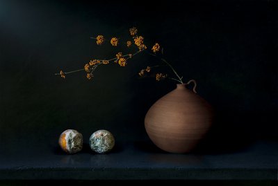 Natureza morta escura com fruta de Juan Antonio Palacios