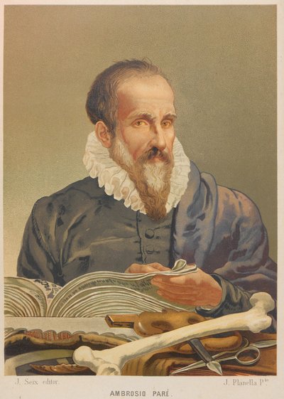 Retrato de Ambroise Paré, 1879. de Juan Planella y Rodríguez