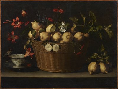 Ainda vida com limões em uma cesta de vime, ca 1643-1649. de Juan de Zurbaran