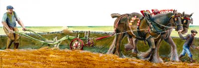 Lavoura, c1830-1900, c1990-2010 de Judith Dobie