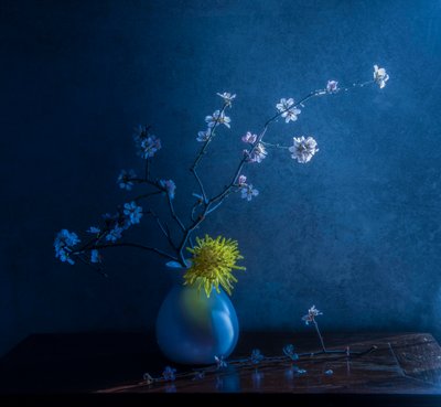 de Judy Tseng