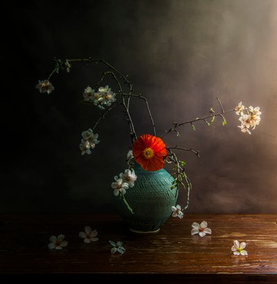  de Judy Tseng