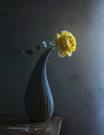  de Judy Tseng