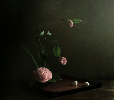  de Judy Tseng
