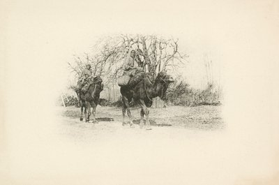 Uma das vistas de Jules Gervais-Courtellemont da Argélia (fotografia a preto e branco) de Jules (after) Gervais-Courtellemont