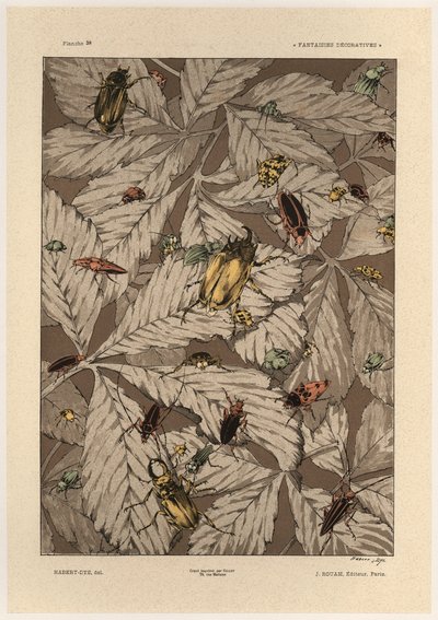 Besouros, placa 38 de &39;Fantasias Decorativas&39;, gravada por Gillot, publicada por Jules Rouam, Livraria de Arte, Paris, 1887 (gravura a cor) de Jules Auguste Habert Dys