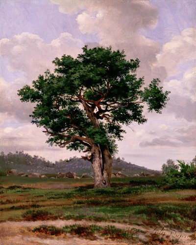 A raiva (quente-temperado) de Jules Dupré