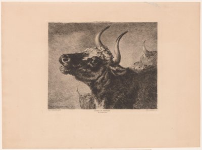 Cabeça de um touro
Etude de taureau. (título sobre o objecto) de Jules Ferdinand Jacquemart