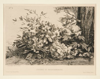 Peónias e Rododendros de Jules Ferdinand Jacquemart