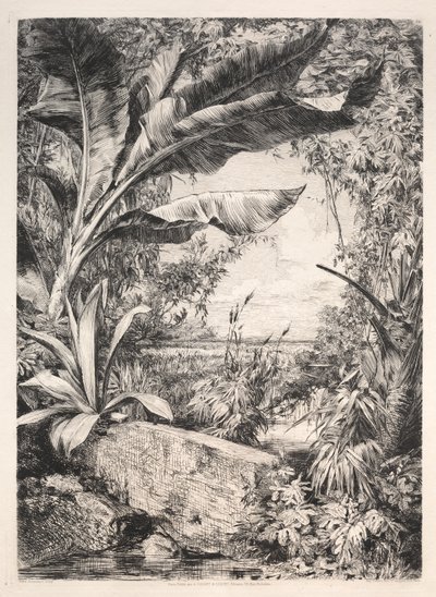 Plantas da estufa, 1872. de Jules Ferdinand Jacquemart