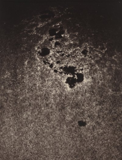 Sem título (Estudo da superfície do sol),1893 (foto) de Jules Janssen