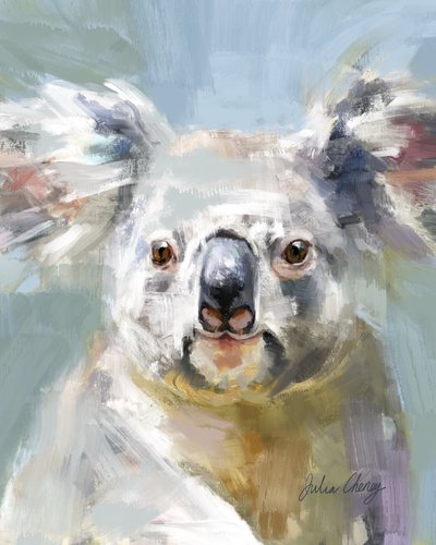 O Olhar Suave do Koala de Julia Cheney