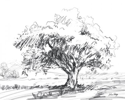 Desenho de uma árvore rústica de Julia Cheney