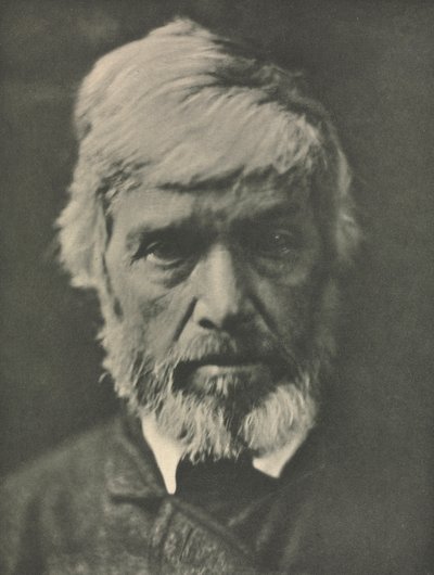 Trabalho de câmera: Carlyle de Julia Margaret Cameron