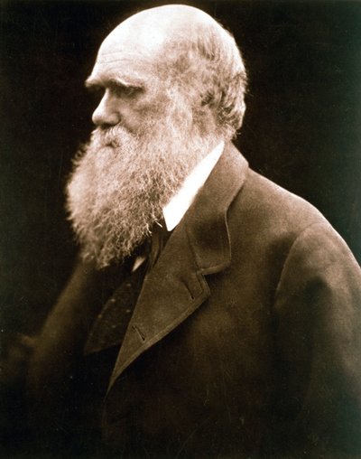 Charles Darwin, naturalista britânico, década de 1870 de Julia Margaret Cameron