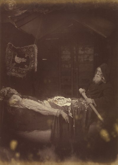 Elaine «e os mortos» remou, e os mudos subiram com a corrente. de Julia Margaret Cameron