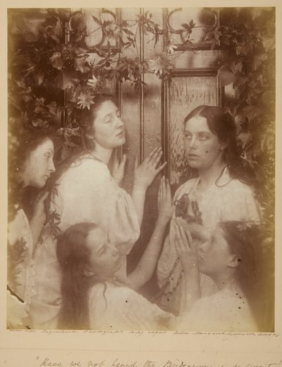 Não ouvimos dizer que o noivo é tão doce de Julia Margaret Cameron