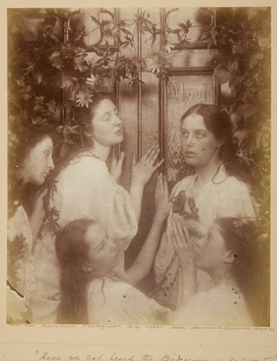 Não ouvimos dizer que o noivo é tão doce, Agosto de 1874? de Julia Margaret Cameron