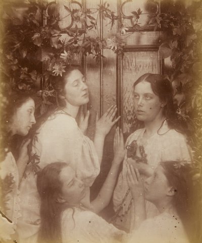 Não ouvimos que o noivo é tão doce, agosto de 1874 de Julia Margaret Cameron