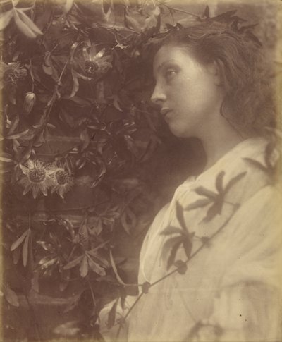 Matilde "Caiu uma lágrima esplêndida da flor de maracujá no portão" de Julia Margaret Cameron