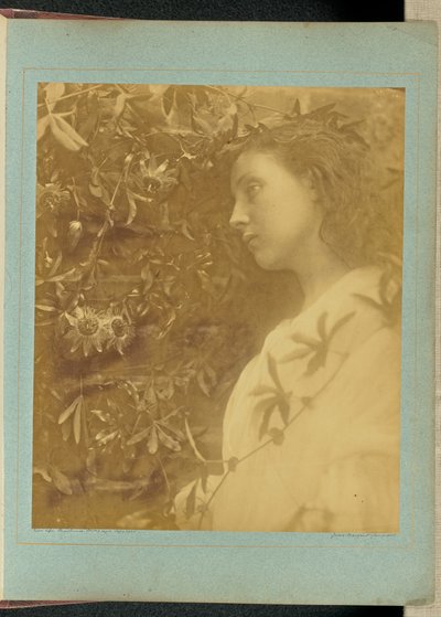  de Julia Margaret Cameron