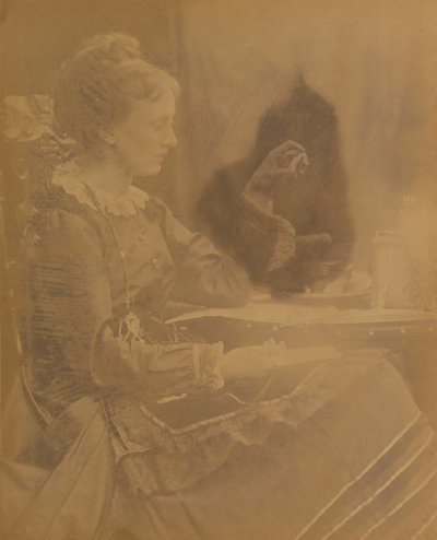 Poderia. Água doce, 1870. de Julia Margaret Cameron