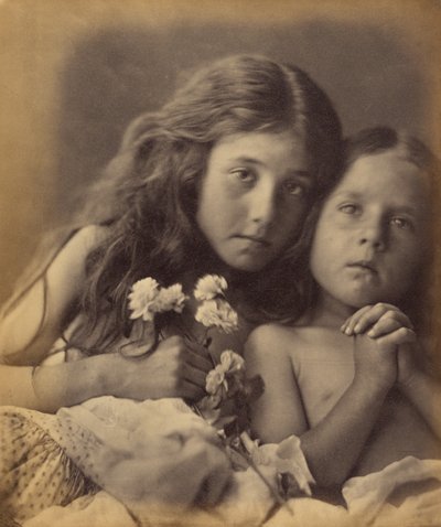As rosas vermelhas e brancas de Julia Margaret Cameron