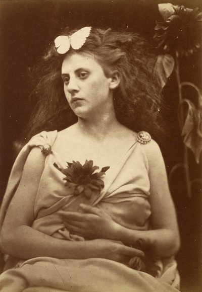 O Girassol, início da década de 1870. de Julia Margaret Cameron