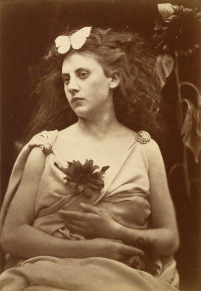 O Girassol, início da década de 1870 (foto) de Julia Margaret Cameron