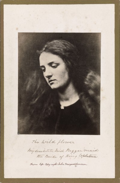 A Flor Selvagem de Julia Margaret Cameron