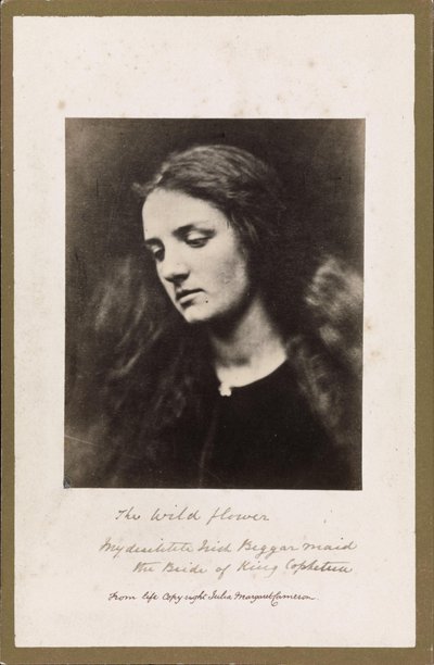 A flor selvagem de Julia Margaret Cameron