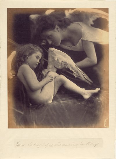 Vénus repreende Cupido e retira-lhe as asas de Julia Margaret Cameron