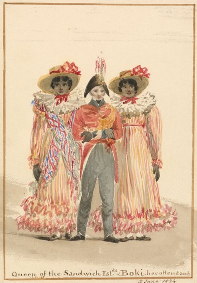 Um Grupo de Ilhas Sandwich de Julia Swinburne