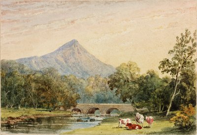 Pão de Açúcar de Tynnahinch (wc no papel (colado no cartão)) de Julia Swinburne