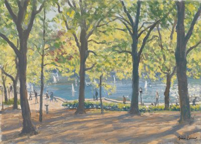 Central Park, Nova York, 2010 de Julian Barrow