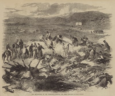 O campo de batalha do Tchernaya, enterrando os mortos de Julian Portch