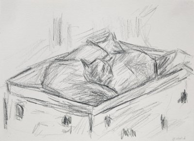 Gatos Nestling, 2015 (lápis) de Julie Held