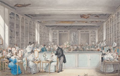 Escola de Desenho Botânico de Pierre-Joseph Redouté na Sala de Buffon no Jardim das Plantas, 1830 (wc e grafite sobre papel) de Julie Ribault