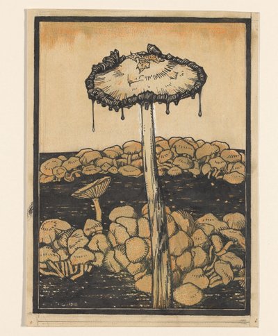 Cogumelo pingando de Julie de Graag (signed by artist)
