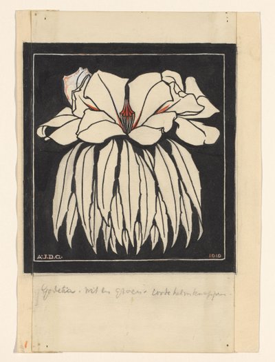 Godetia de Julie de Graag (signed by artist)