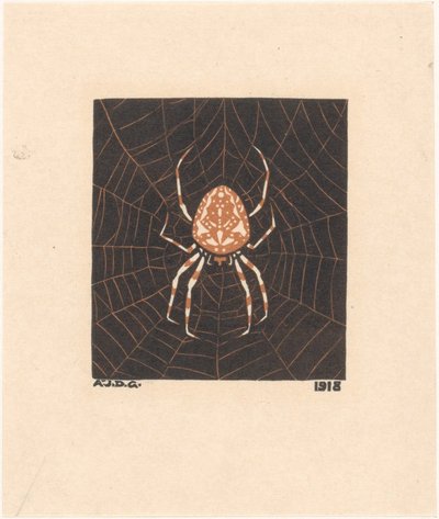 Aranha numa teia de Julie de Graag