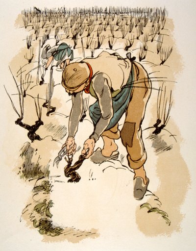 Ilustração Humorosa do Vinho 1946.Ilustração do Pavilhão de Julien de Julien Pavil