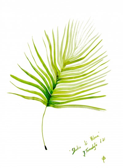 Aquarela de folha de palmeira verde de Julija Belickienė