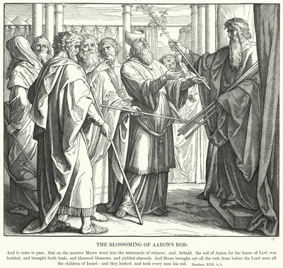 O Desabrochar da Vara de Aaron (gravura) de Julius (after) Schnorr von Carolsfeld
