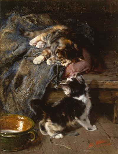 Gatinho brincando de Julius Adam
