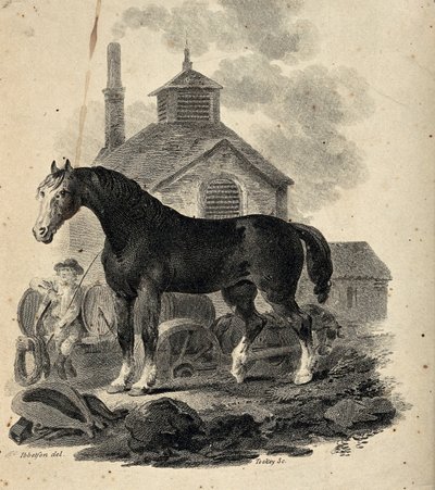 Um cavalo de tração parado em frente da tração com o condutor da tração de Julius Caesar Ibbetson