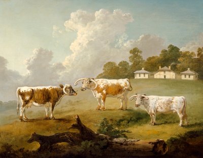 "Three Long-horned Cattle at Kenwood", 1797 de Julius Caesar Ibbetson