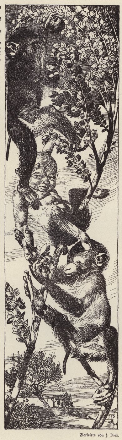 Macacos a apanhar fruta numa árvore (litografia) de Julius Diez