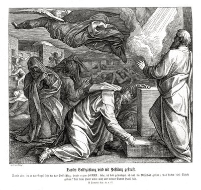 David é punido por numerar o povo, 2 Samuel. de Julius Schnorr von Carolsfeld